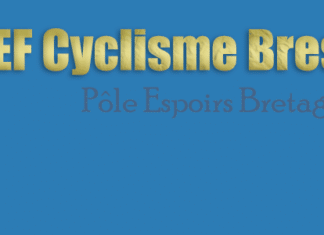 Candidatures à la SEF de Brest / Finistère