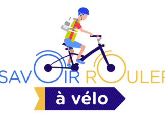 Compte-rendu COPIL SRAV – 16 mai 2025