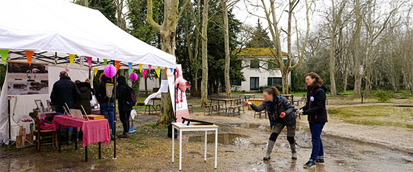 Votre barnum pliant dès 99€ avec France Barnums !